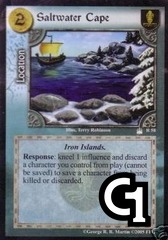 Saltwater Cape